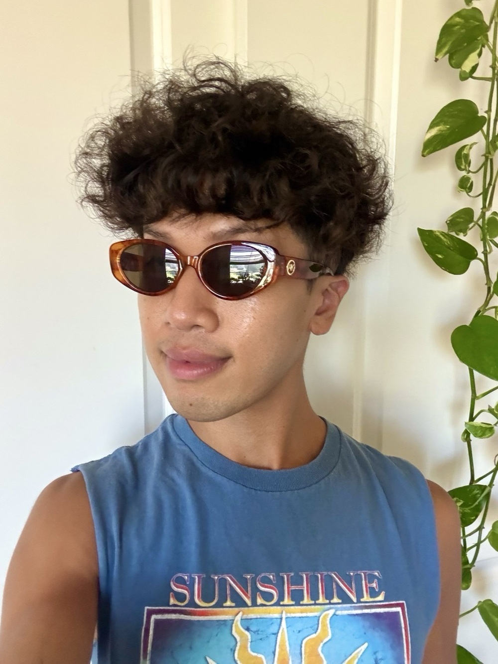 Warm Brown Y2K Tortoise Shell Cat-Eye Sunglasses